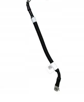 Hyundai Ioniq Negative earth cable (battery) 91661GI010PB