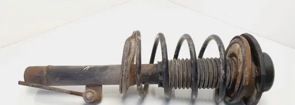Peugeot 206 Front shock absorber with coil spring