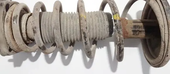 Hyundai Elantra Rear coil spring