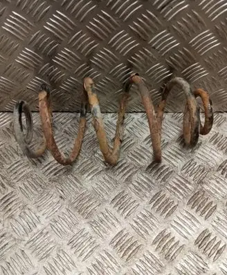 Rear coil spring
