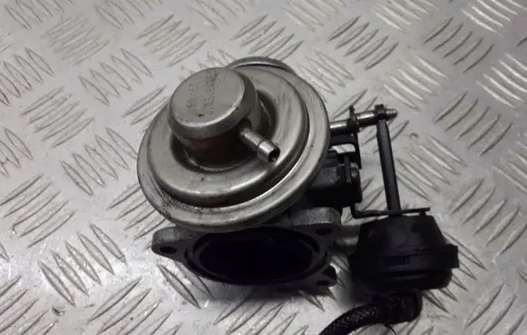 Volkswagen Golf IV EGR valve