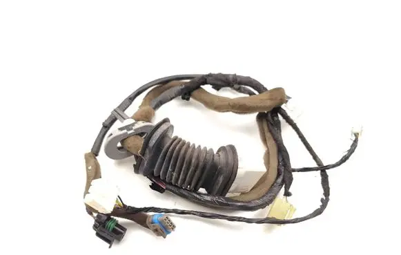 Chevrolet Aveo Front door wiring loom 95962926