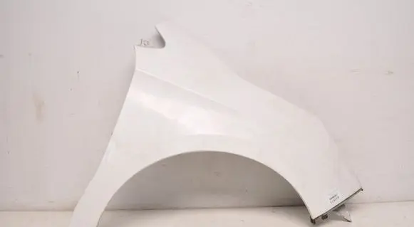 Citroen C4 II Front mudguard 