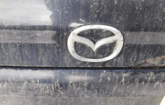 Manufacturer badge logo/emblem