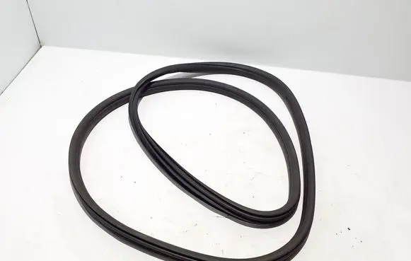 BMW X4M F98 Front door rubber seal 7468927