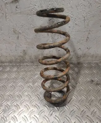 Volkswagen PASSAT B6 Rear coil spring