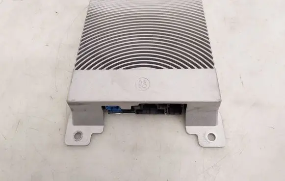 Ford Mustang Mach-E Sound amplifier F027010000