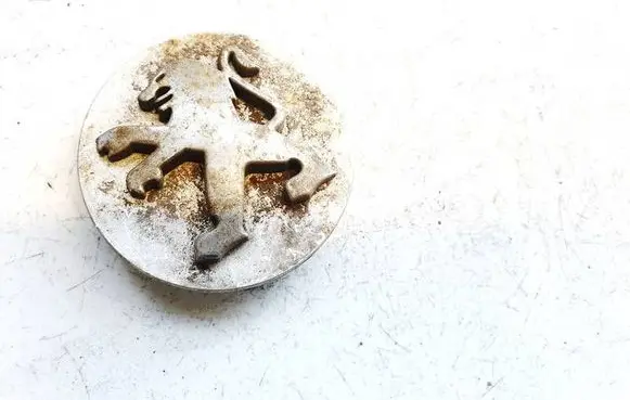 Peugeot 306 Original wheel cap 9646481380