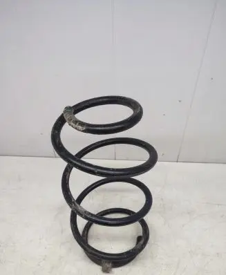 Front coil spring