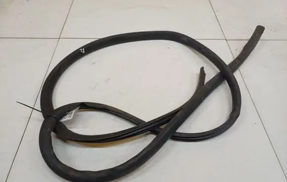 Isuzu D-Max Rubber seal front coupe door