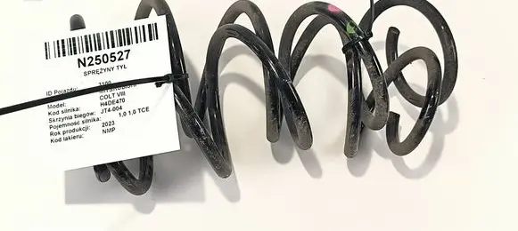 Rear coil spring