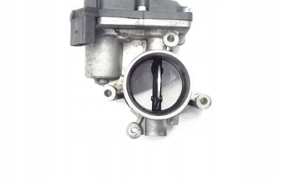 Volkswagen Phaeton Throttle valve 70370317391840904