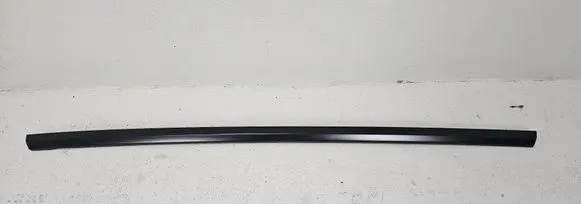 Tesla Model 3 Rear door trim (molding) 108074501J