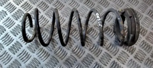 Hyundai i20 (PB PBT) Rear coil spring