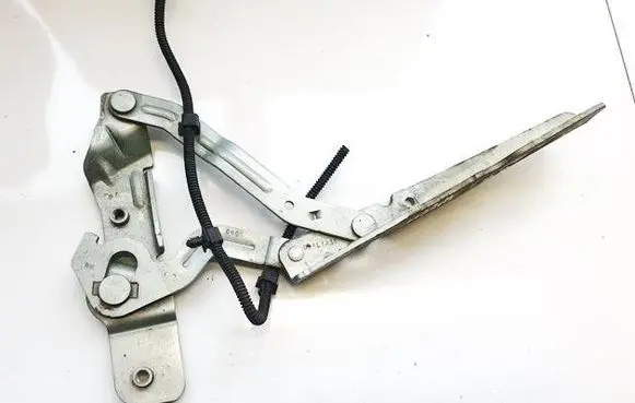 Ford C-MAX II Engine bonnet/hood hinges AM5116800AG