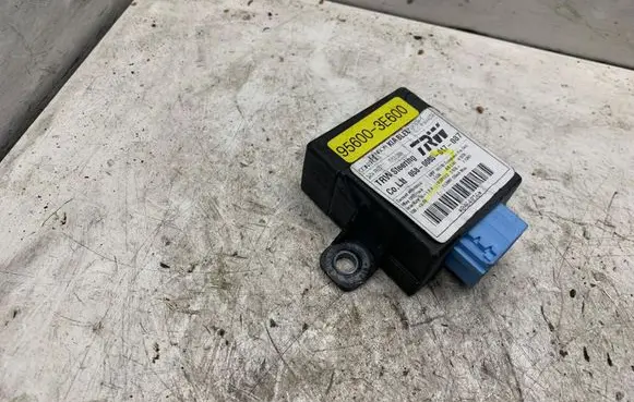 KIA Sorento Other control units/modules 956003E600