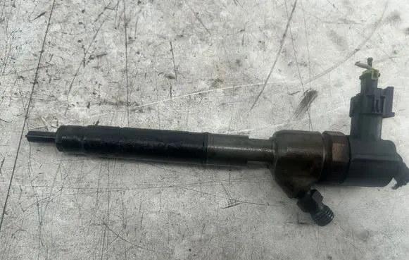 Hyundai i30 Fuel injector 0445110320