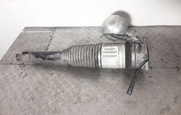 Volkswagen Phaeton Rear shock absorber/damper 3D0616001K