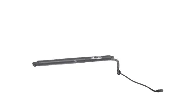 Tailgate/trunk strut/damper