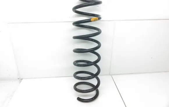 Renault Megane II Rear coil spring