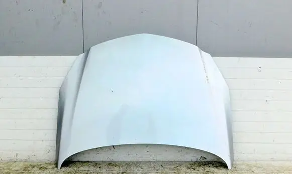 Opel Insignia A Engine bonnet/hood prop rod/strut 193645