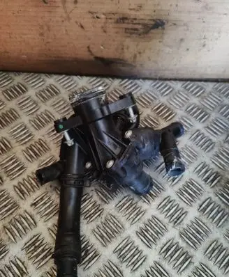 Thermostat/thermostat housing