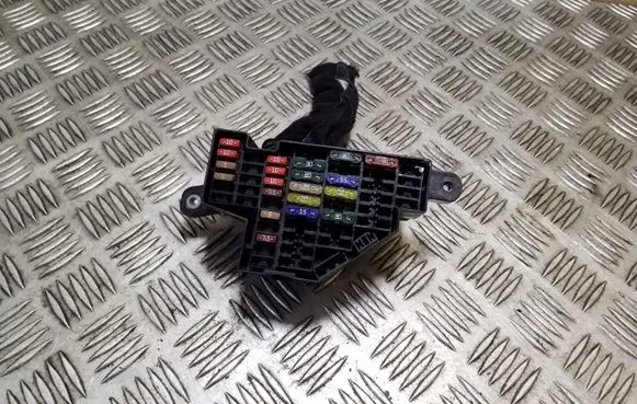 Volkswagen Eos Fuse module