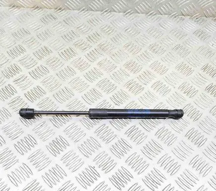 Tailgate/trunk strut/damper