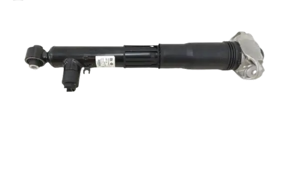 Volkswagen ID.7 Rear shock absorber/damper 1EA512037D