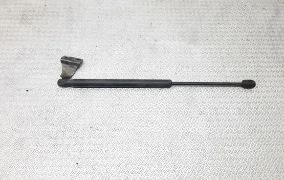 Hyundai Santa Fe Rear window strut damper 