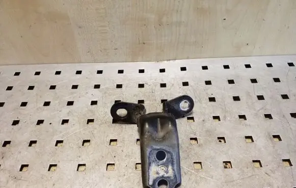 KIA Sportage Front door lower hinge 