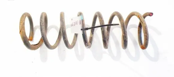 Rear coil spring
