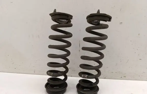 Rear coil spring
