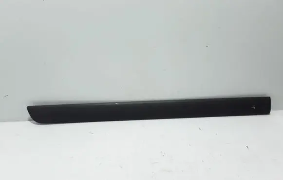 Renault Kangoo II Front door trim (molding) 8200439111