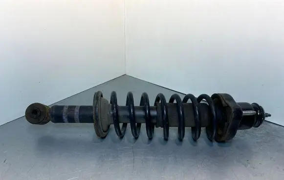 Mitsubishi Lancer X Rear shock absorber/damper 4162A173