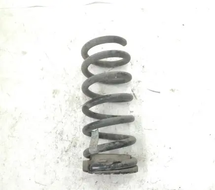 Ford Mustang VI Rear coil spring FR3C5560AC