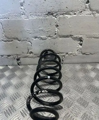 Volkswagen Golf V Rear coil spring
