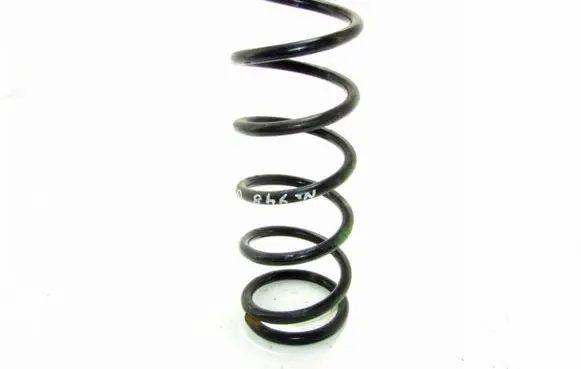 Rear coil spring
