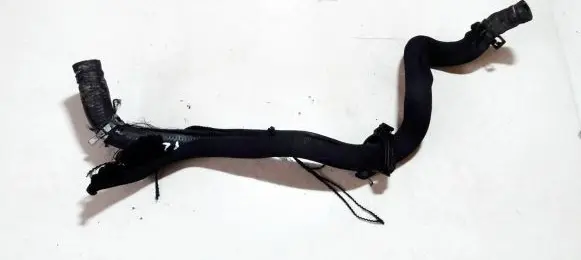 Citroen C5 Engine coolant pipe/hose