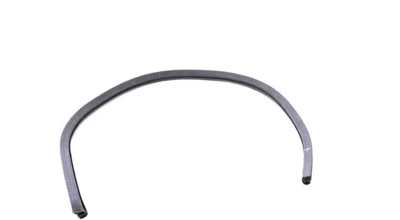 Jaguar F-Type Rubber seal front coupe door EX5320708A
