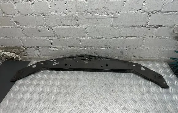 Engine bonnet/hood lock trim molding