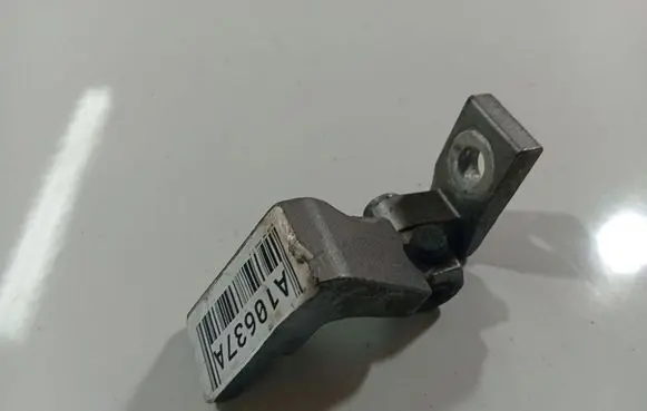 Rear door lower hinge
