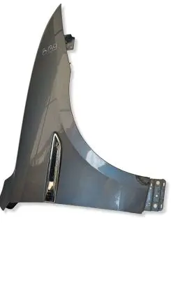 Jaguar F-Pace Fender BLOTNIKPRAWYFPACE