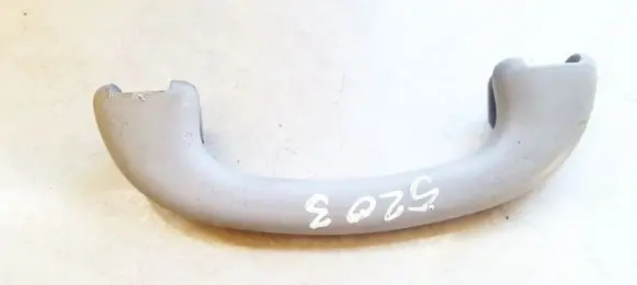 Ford Focus Front interior roof grab handle