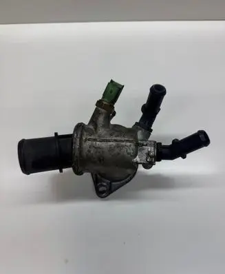 Thermostat/thermostat housing
