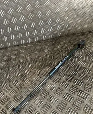 Tailgate/trunk strut/damper