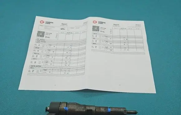 Peugeot Partner Fuel injector 0445110008 IMPRK1523483