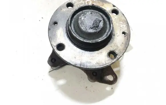 Peugeot 307 Stub axle 