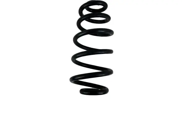 Volkswagen PASSAT B5.5 Rear coil spring