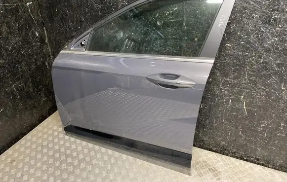 Hyundai Kona II Front door 
